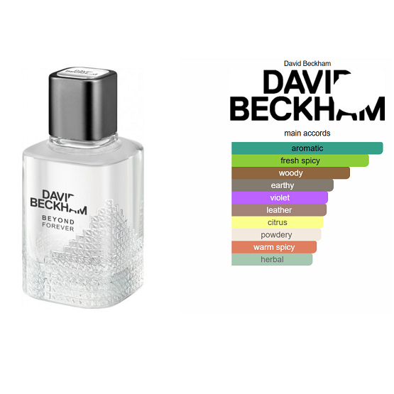 David Beckham Beyond Forever Review David Beckham Beyond Forever