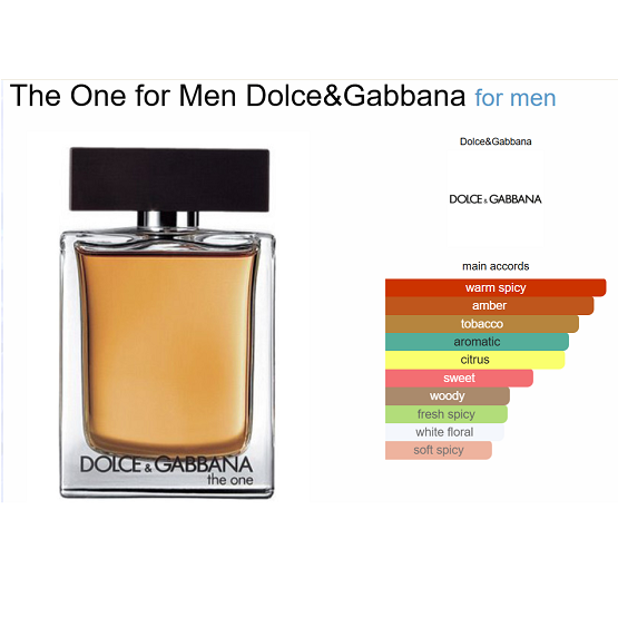 Dolce & Gabbana - THE ONE MEN EDT - 100ML