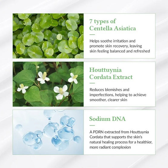 Dr Althea Green Tea Fresh Sunscreen 45ml In Pakistan - The Vault