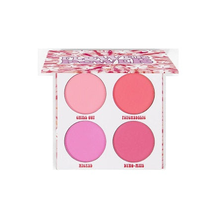BH Cosmetics Flower Power 4 Color Blush Palette Price In Pakistan