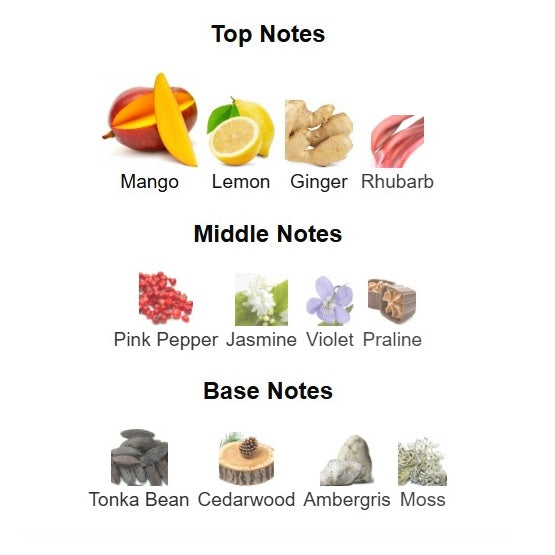 French Avenue Vulcan Feu EDP 100ml In Pakistan 