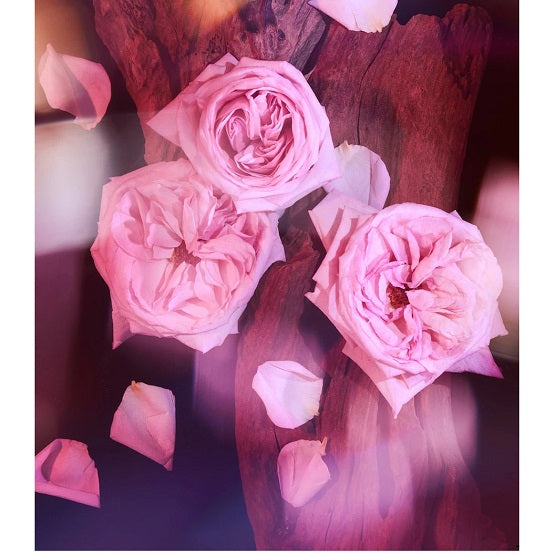 Huda Beauty Kayali Oudgasm Rose Oud 16 Bakhoor 30g In Pakistan