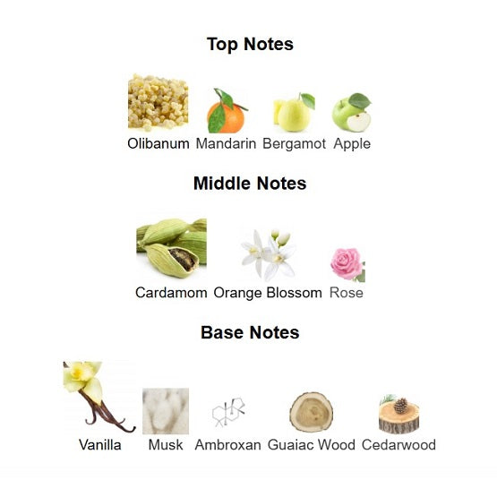 Lattafa Art Of Nature II for women and men Edp 100mL In Pakistan
