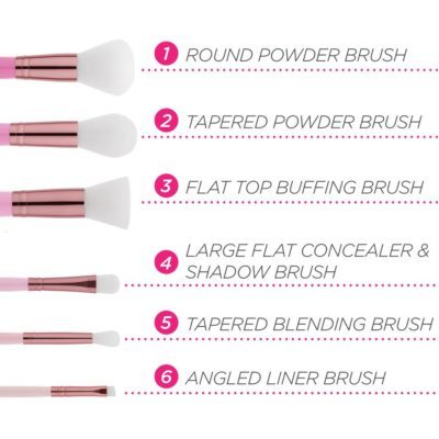 BH Cosmetics Mini Pink Perfection 6 Piece Brush Set Price in Pakistan