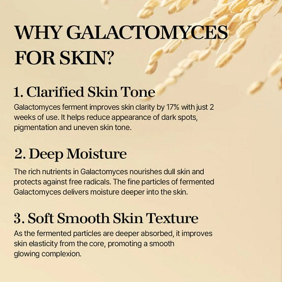 Mixsoon Galactomyces Ferment Essence 100ml