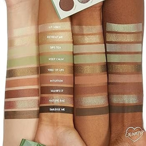 COLORPOP Pressed Powder Palette Sage The Day In Pakistan