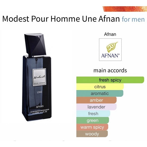 AFNAN - MODEST - P/H - 100ML