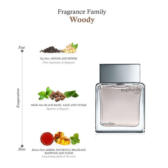 CALVIN KLEIN EUPHORIA MEN EDT 100ML – The Vault Pk